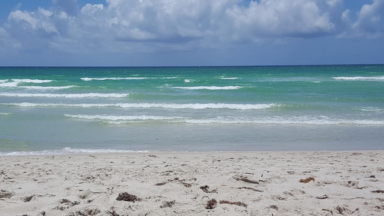 2 Bedroom 2 Bath Beachfront Condo On Miami Beach Millionaire Row Esterno foto